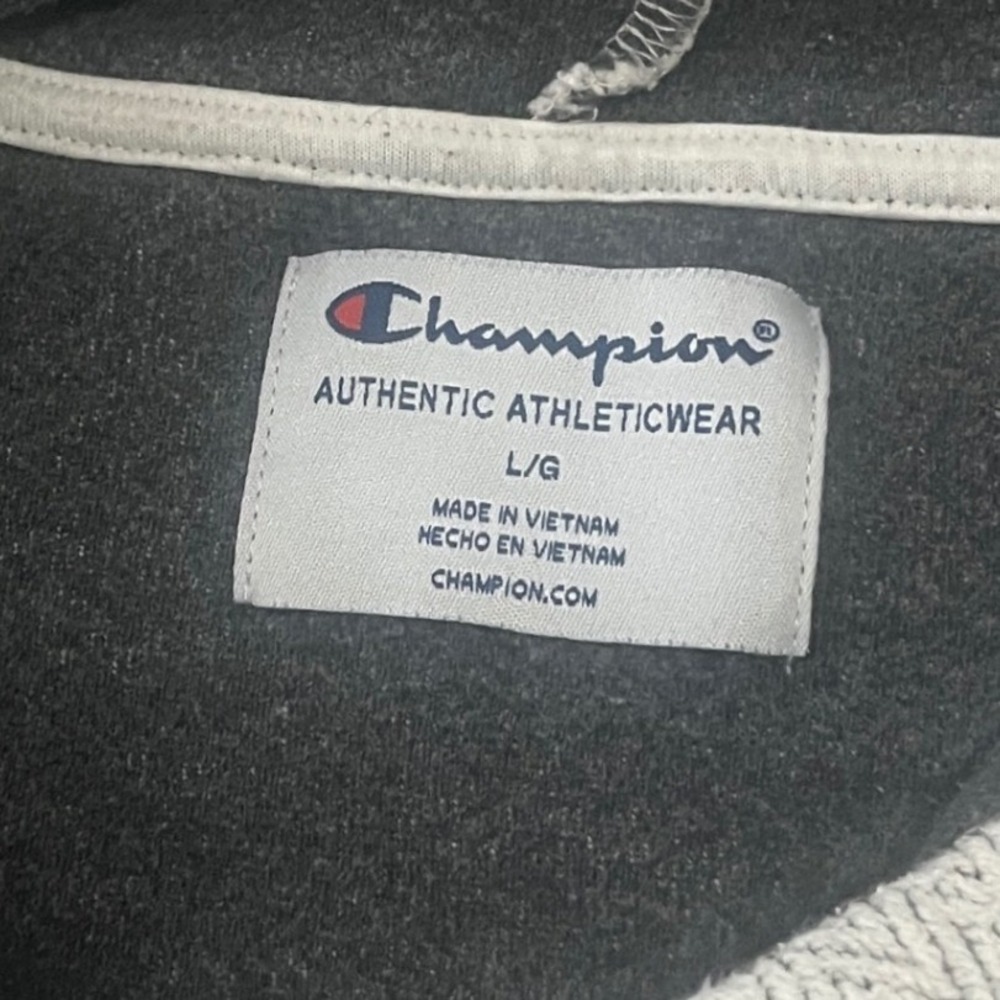 Champion Mens Large Natural Chevron Herringbone Pullover Hoodie Sweatshirt L GUC - Picture 3 of 7